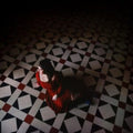 Rose Hotel - Pawn Surrender (Signed) - CD