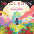 Jessie Baylin - Strawberry Wind (Deluxe/Tangerine & Strawberry Sherbet LP Vinyl)