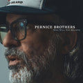 Pernice Brothers - Who Will You Believe - CD