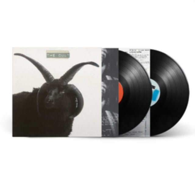 Cult (2LP)