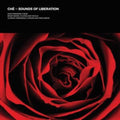 Sounds Of Liberation (Coloured LP Vinyl)