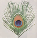 Apple Venus Vol. I (200G)