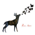 Low Roar