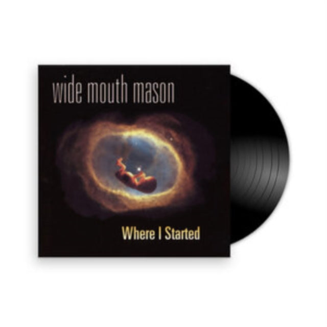 Wide Mouth Mason - Where I Started - LP Vinyl