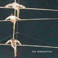 Messthetics (Dl Card)