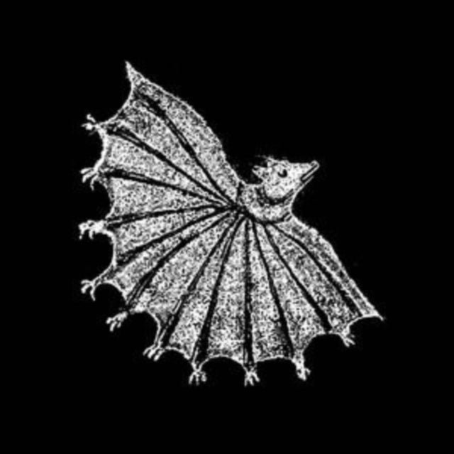 Ignore Grief (Silver Ghost LP Vinyl)
