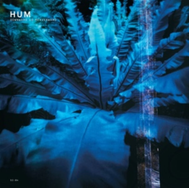 Hum - Downward Is Heavenward (2LP) & Electra 2000 (2LP)