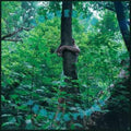 Tomberlin - Projections (Picture Disc) - LP Vinyl