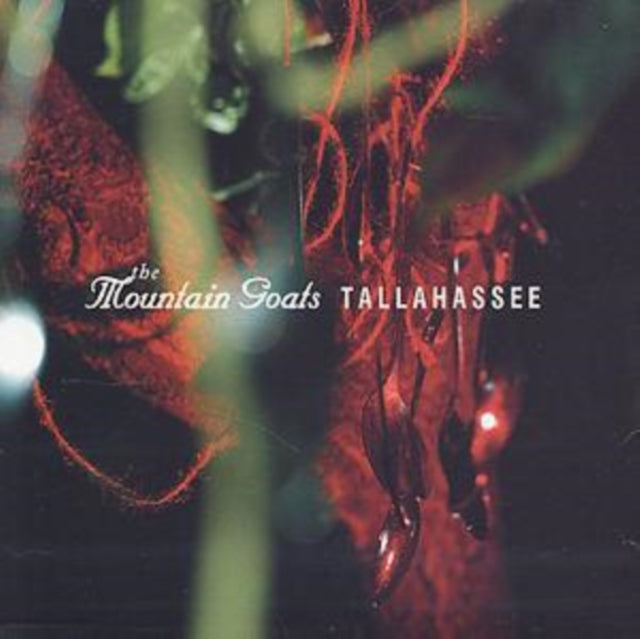 Tallahassee & Beautiful Rat Sunset