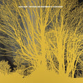 Nada Surf - Stars Are Indifferent To Astronomy - LP Vinyl