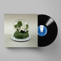 Fenne Lily - Big Picture - LP Vinyl