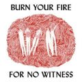 Burn Your Fire For No Witness