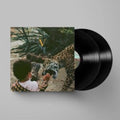 V (2LP)