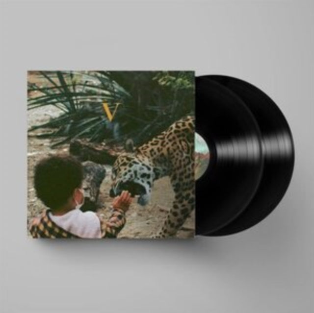 V (2LP)