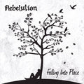 Falling Into Place Vinyl Record