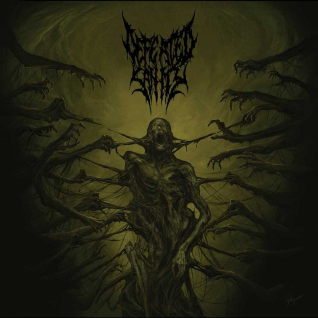 Defeated Sanity - Passages Into Deformity (Picture Disc) - LP Vinyl