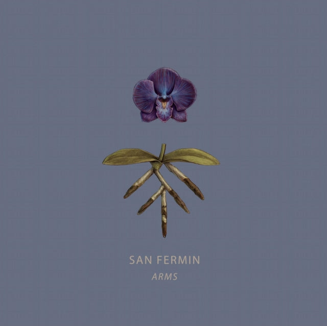 San Fermin - Arms - LP Vinyl