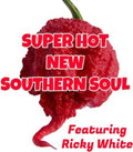 Various Artists - Super Hot New Southern Soul - CD
