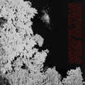 Church Girls - Still Blooms - CD
