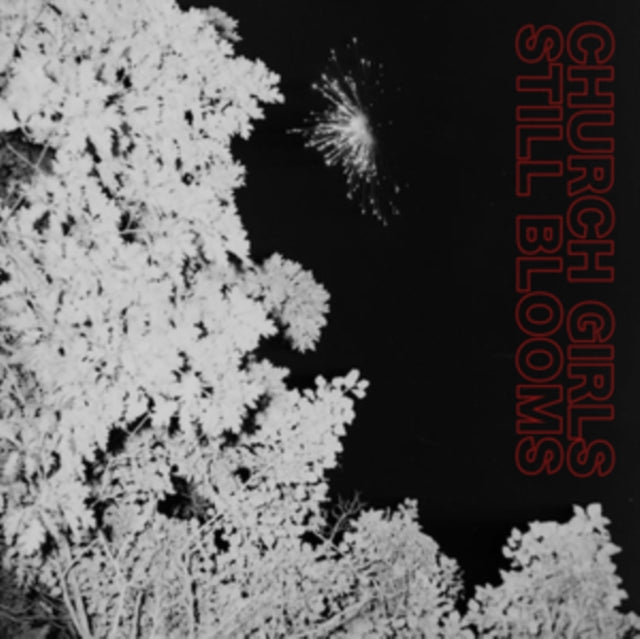 Church Girls - Still Blooms - CD