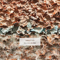 Cable Ties - All Her Plans - LP Vinyl