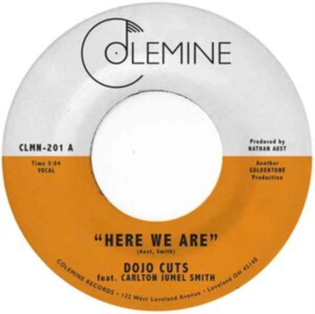Dojo Cuts - Here We Are (Clear Vinyl)