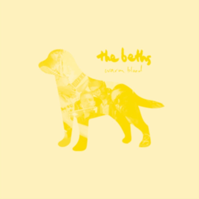 Beths - Warm Blood (Light Blue LP Vinyl) & Expert In A Dying Field (Silver LP Vinyl)