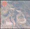 Utopia (Dl Card)