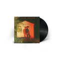 Break Into Blossom Vinyl Record