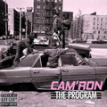 Program (Clear LP Vinyl)