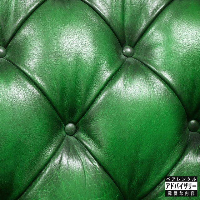 Sonnyjim X Camoflauge Monk - Money Green Leather Sofa - LP Vinyl
