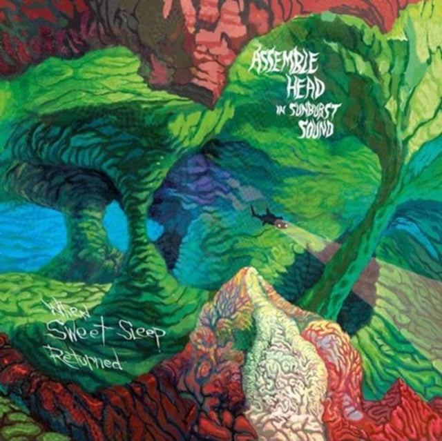 Assemble Head In Sunburst Sound - When Sweet Sleep Returned - LP Vinyl