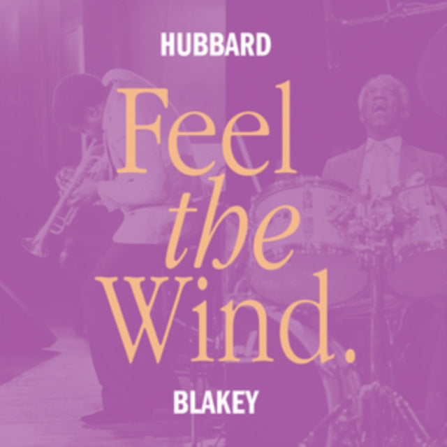 Feel The Wind