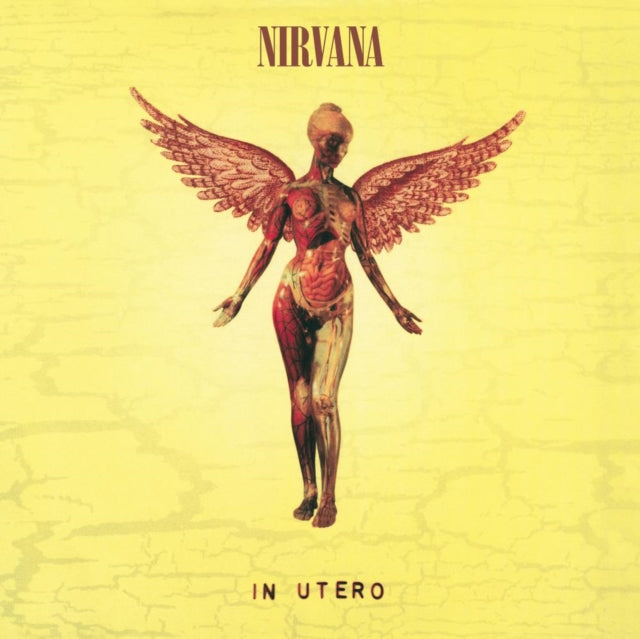 Bleach & In Utero (180G/33-1/3 RPM) & Unplugged In N.Y. & From The Muddy Banks Of The Wishkah