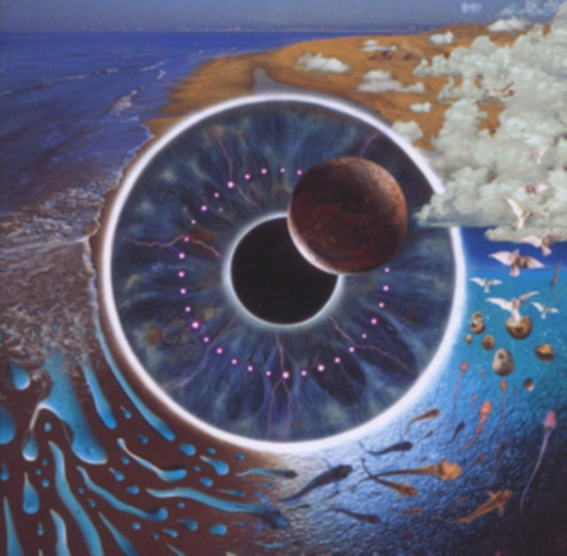 Pink Floyd - Pulse (Live) - Brilliant Box - CD