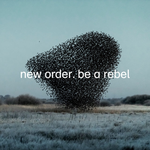 New Order - Substance (2023 Reissue) (2LP) & Be A Rebel