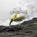 New Lost Ages (Natural Warm Grey LP Vinyl)