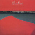 Dixie Dregs - What If - CD