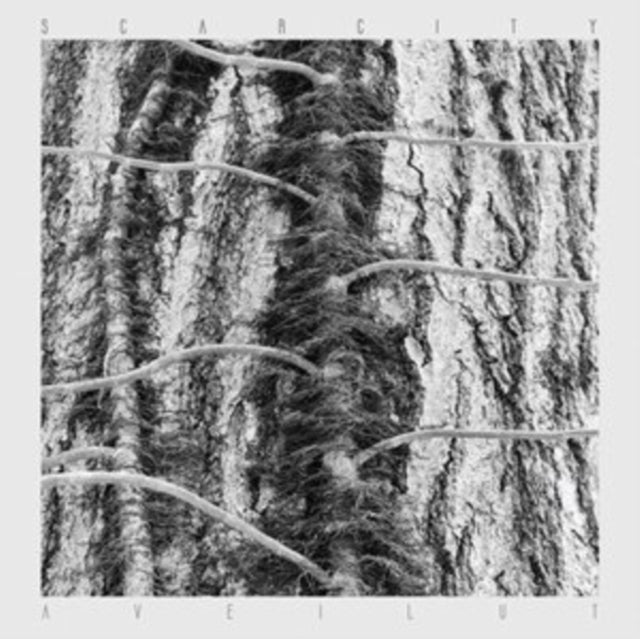 Scarcity - Aveilut - LP Vinyl