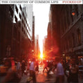 Chemistry Of Common Life (Clear Orange Vinyl/2LP)