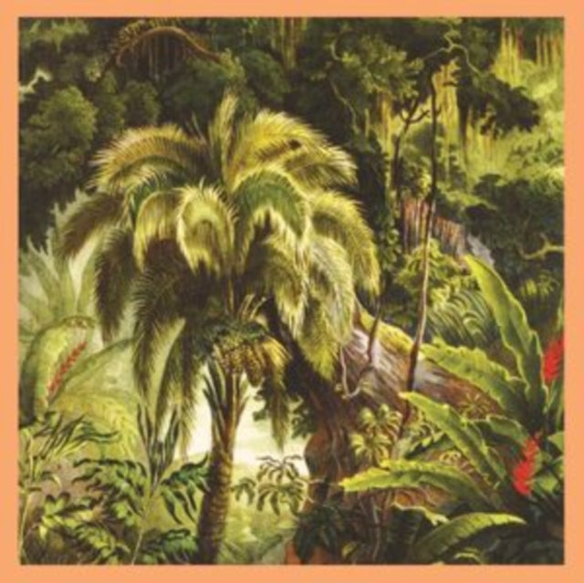 Fabulous Muscles & Oh No (Solid Cream & Solid Scarlet LP Vinyl) & La Foret (Sunset Swirl LP Vinyl)