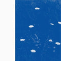 Merzbow - Flare Blues - LP Vinyl