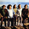 Turtles - Turtle Soup - LP Vinyl