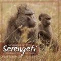 Various Artists - Memories Of Serengeti - CD