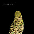Andrew Bird - Armchair Apocrypha - LP Vinyl