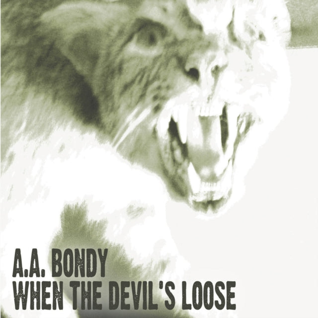 A.A. Bondy - When The Devil's Loose - CD