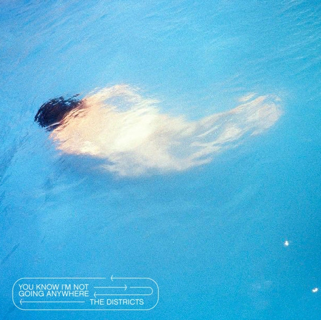 You Know I'm Not Going Anywhere & Great American Painting (Gold LP Vinyl) (I)