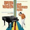 Brian Wilson - Brian Wilson: Long Promised Road - LP Vinyl