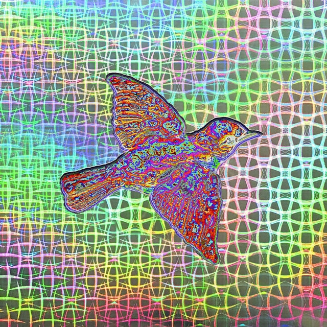 Widespread Panic - Til The Medicine Takes (2LP/140G/3D Lenticular Cover)
