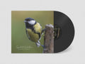 Rafael Toral - Spectral Evolution - LP Vinyl